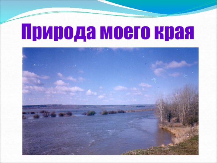 Природа моего края