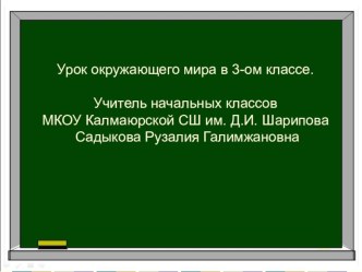 Презентация по предмету окружающий мир по теме Физические и химические явления