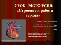 Презентация по биологии на тему Строение и работа сердца (8 класс)
