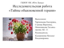 Исследовательская работа Тайны обыкновенной герани