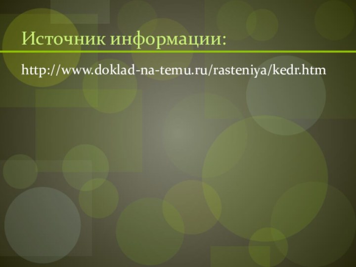 Источник информации:http://www.doklad-na-temu.ru/rasteniya/kedr.htm