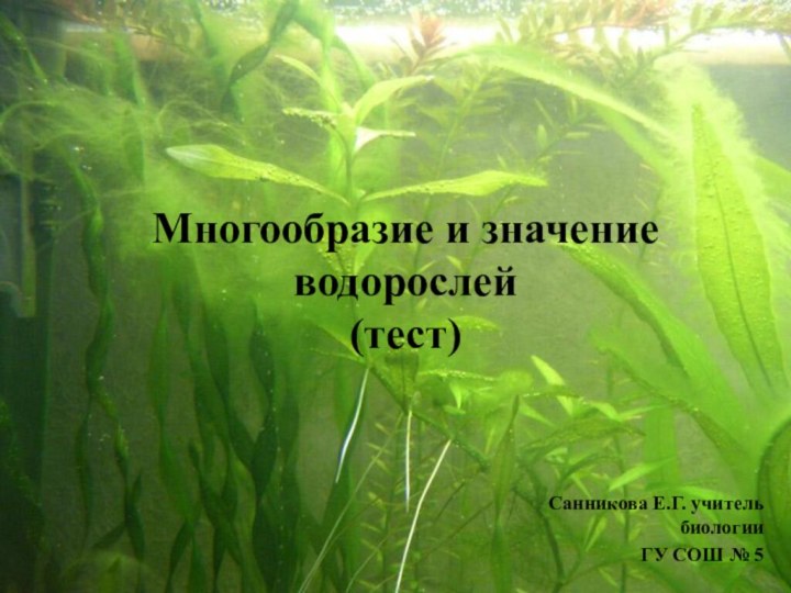 Многообразие и значение водорослей(тест)Санникова Е.Г. учитель биологии ГУ СОШ № 5