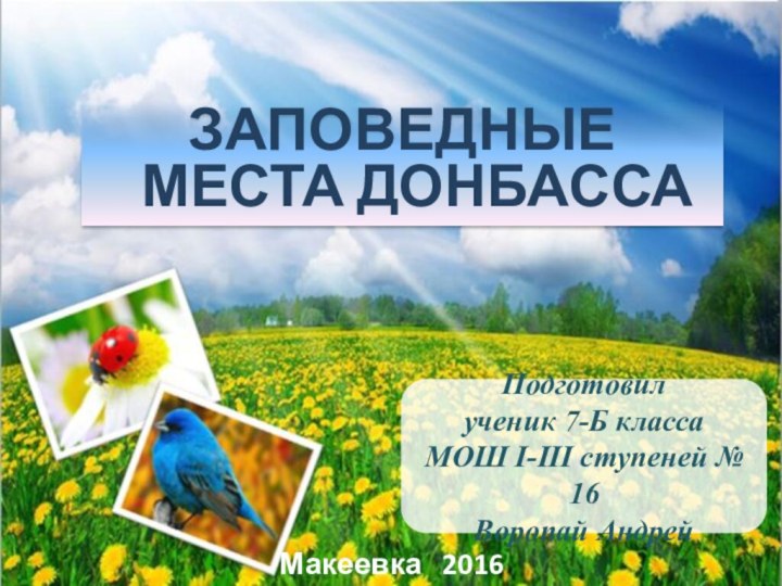 ЗАПОВЕДНЫЕ МЕСТА ДОНБАССАМакеевка  2016Подготовил ученик 7-Б класса МОШ І-ІІІ ступеней № 16Воропай Андрей