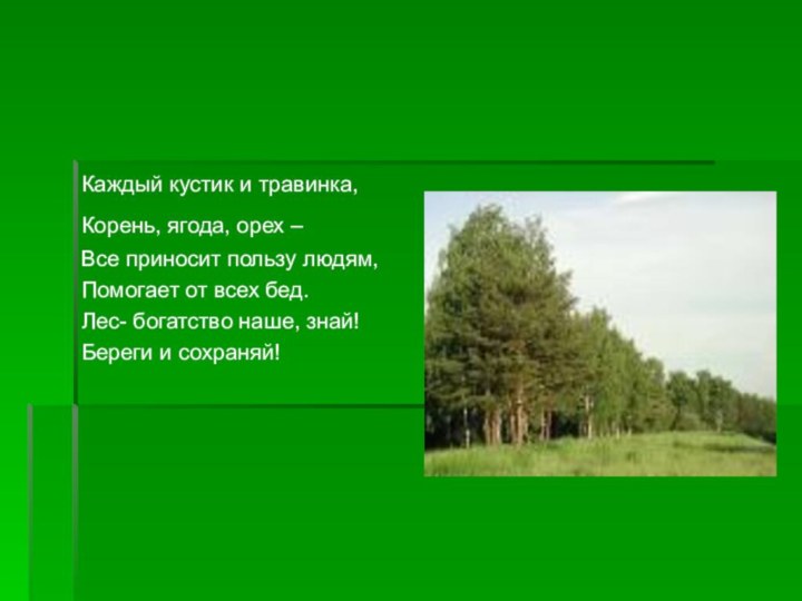 Каждый кустик и травинка,Корень, ягода, орех – Все приносит пользу людям,Помогает от