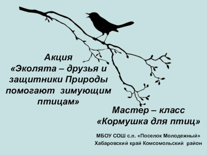 Акция  «Эколята – друзья и защитники Природы помогают зимующим птицам»Мастер –