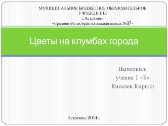 Презентация по окружающему миру по теме Цветы на клумбах города