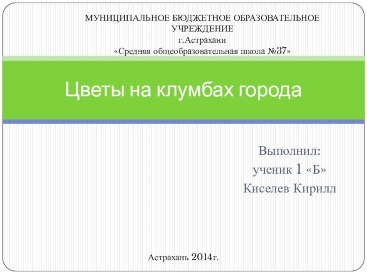 Цветы на клумбах городаВыполнил:ученик 1 «Б»Киселев КириллМУНИЦИПАЛЬНОЕ БЮДЖЕТНОЕ ОБРАЗОВАТЕЛЬНОЕ УЧРЕЖДЕНИЕг.Астрахани«Средняя общеобразовательная школа №37»Астрахань 2014г.