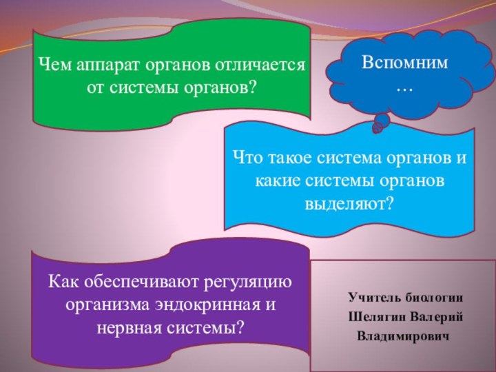 Чем аппарат органов отличается от системы органов?Как обеспечивают регуляцию организма эндокринная и