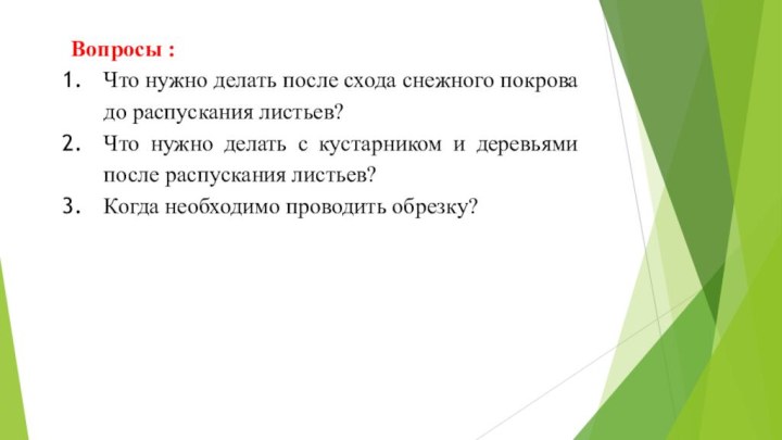 Вопросы :Что нужно делать после схода снежного покрова до распускания листьев?Что нужно