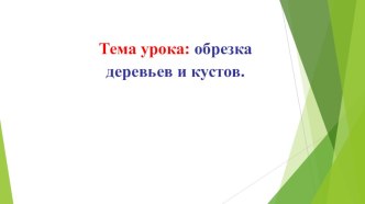 Презентация по технологии на тему: Обрезка деревьев и кустов (9 класс)