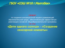 ПРОЕКТ по созданию инновационной модели развивающей образовательной среды, обеспечивающей эффективную реализацию основной общеобразовательной программы на тему: Дети одного солнца - Создание сенсорной комнаты