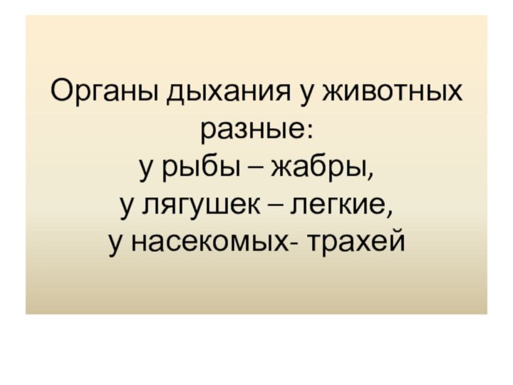 Органы дыхания у животных разные: у рыбы – жабры, у лягушек – легкие, у насекомых- трахей