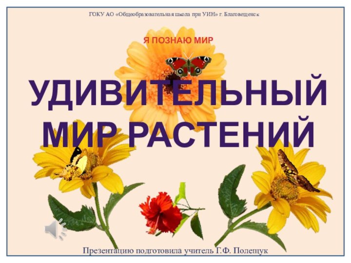 ГОКУ АО «Общеобразовательная школа при УИН» г. БлаговещенскПрезентацию подготовила учитель Г.Ф. ПолещукУДИВИТЕЛЬНЫЙ МИР РАСТЕНИЙЯ ПОЗНАЮ МИР