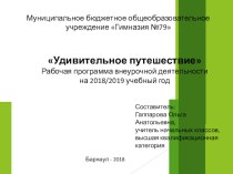 Презентация по внеурочной деятельности Удивительное путешествие