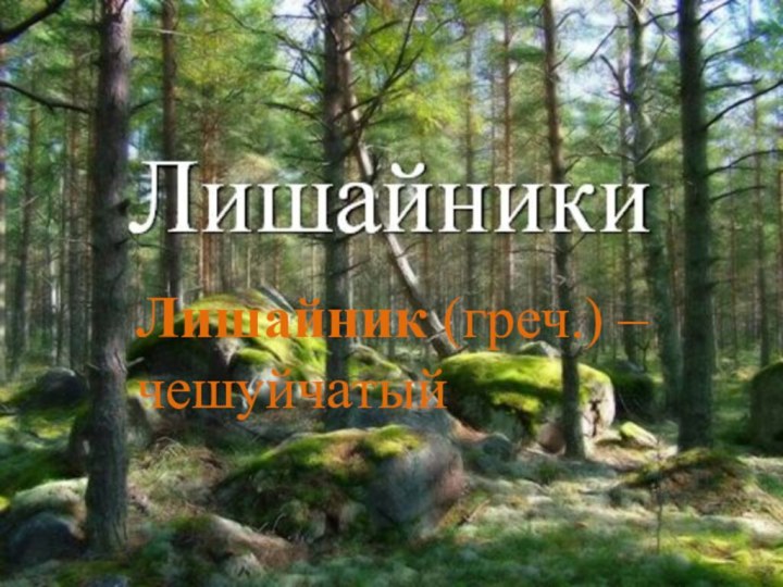 Лишайник (греч.) – чешуйчатый