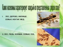 Презентация по биологии на тему Общественные насекомые. Значение пчел и других перепончатокрылых в природе и в жизни человека. (7 класс)