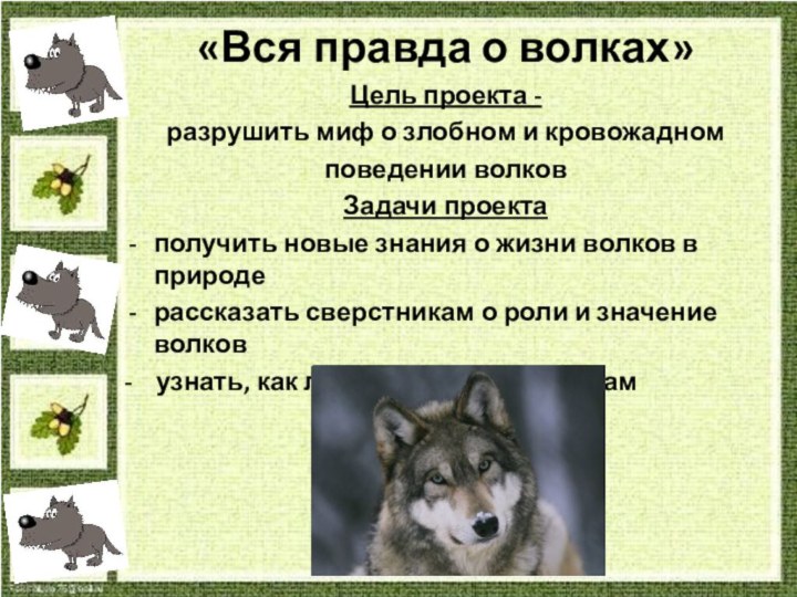 «Вся правда о волках»Цель проекта - разрушить миф о злобном и кровожадном