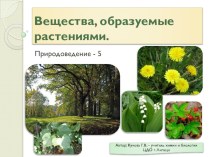 Презентация по природоведению на тему Вещества, образуемые растениями (5 класс)
