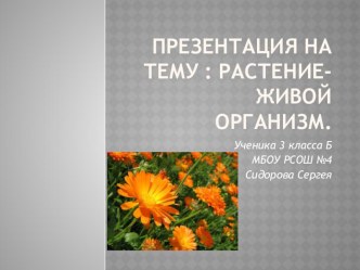 Презентация по окружающему миру Растение - живой организм. Выполнена учеником 3 класса Сидоровым Сергеем.