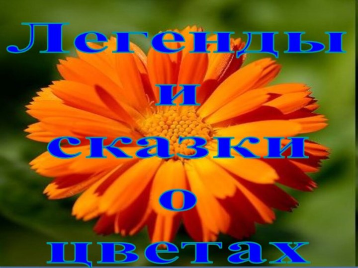 Легенды и сказки о цветах