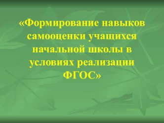 Формирование навыков самооценки учащихся начальной школы в условиях реализации ФГОС