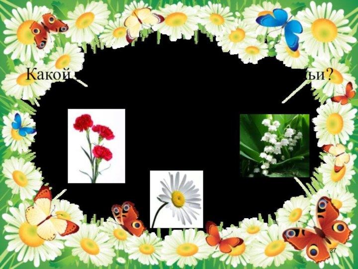 Какой цветок является символом семьи? ЛандышГвоздикаРомашка