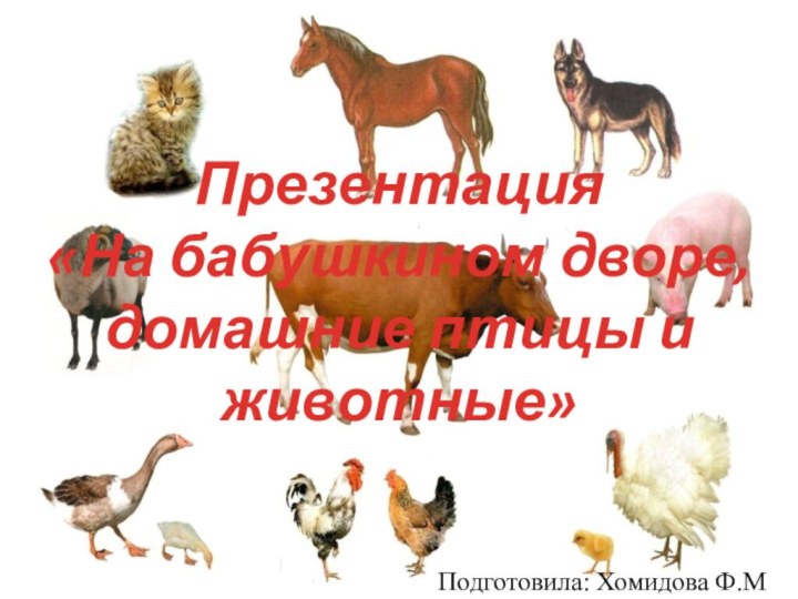 Презентация «На бабушкином дворе,домашние птицы и животные»Подготовила: Хомидова Ф.М