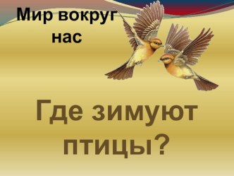 Презентация по окружающему миру в 1 кл. Где зимуют птицы