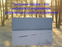 Презентация по химии-снеговой покров-как индикатор загрязнения окружающей среды (9 класс)