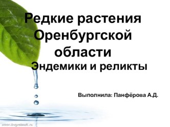 Презентация по биологии на тему Растения Оренбургской области: эндемики и реликты