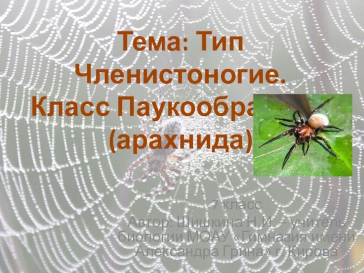 7 классАвтор: Шишкина Н.И. – учитель биологии МОАУ «Гимназия имени Александра Грина»