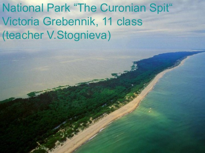 National Park “The Curonian Spit“Victoria Grebennik, 11 class(teacher V.Stognieva)