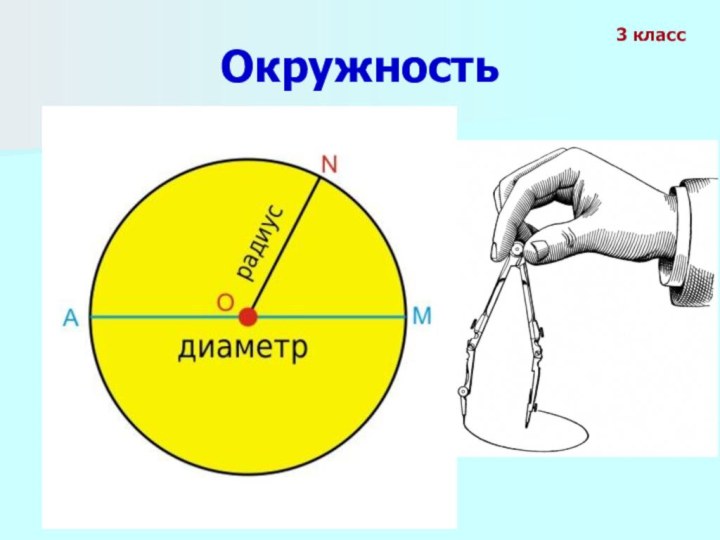 D3 диаметр. Окружность круг радиус диаметр 3 класс. Диаметр окружности круга 3 класс школа России. Математика 3 класс окружность круг радиус диаметр. Круг окружность центр радиус диаметр 3 класс.