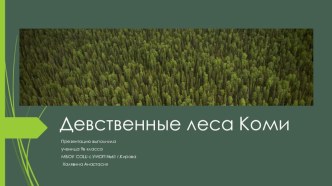 Презентация по географии Девственные леса Коми по теме: Объекты мирового культурного наследия в России