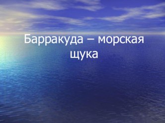 Презентация Барракуда – морская щука