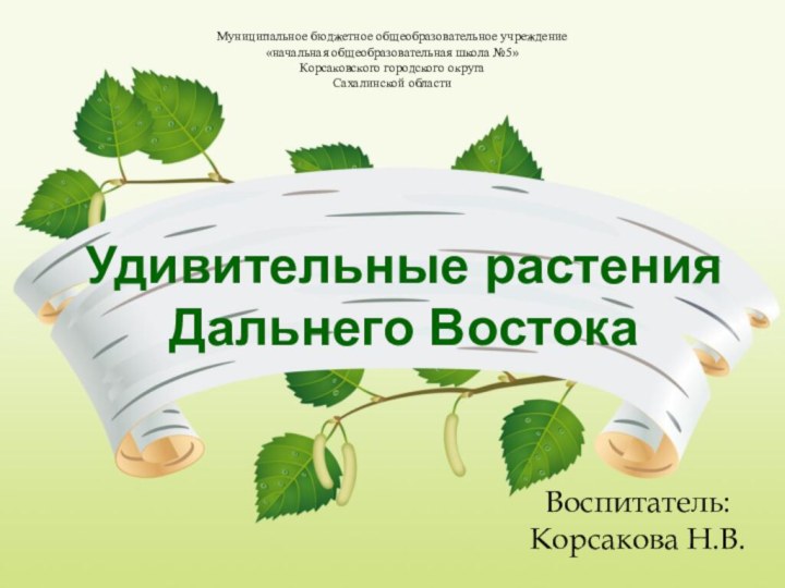 Воспитатель: Корсакова Н.В.Удивительные растения Дальнего ВостокаМуниципальное бюджетное общеобразовательное учреждение«начальная общеобразовательная школа №5»Корсаковского городского округаСахалинской области