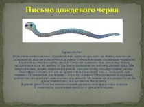 Презентация по биологии Дождевой червь (7 класс)