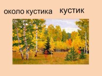 Русский язык Канакина 4 класс 1 часть склонение Имён существительных по падежам.