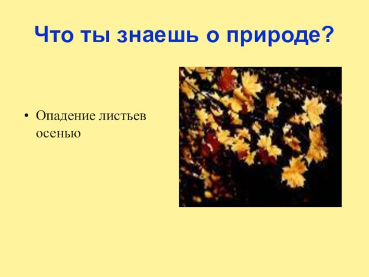 Что ты знаешь о природе?Опадение листьев осенью