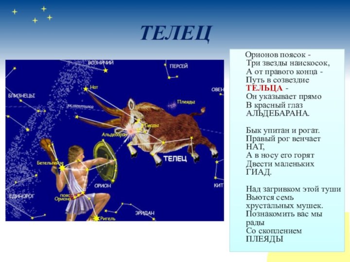 Созвездие тельца астрономия презентация