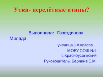 Презентация исследовательской работы Утки- перелётные птицы?