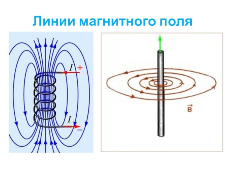 Линии магнитного поля