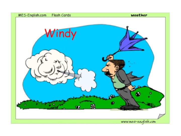 Windy