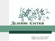 Презентация к урокам биологии Деление клетки (11 класс)