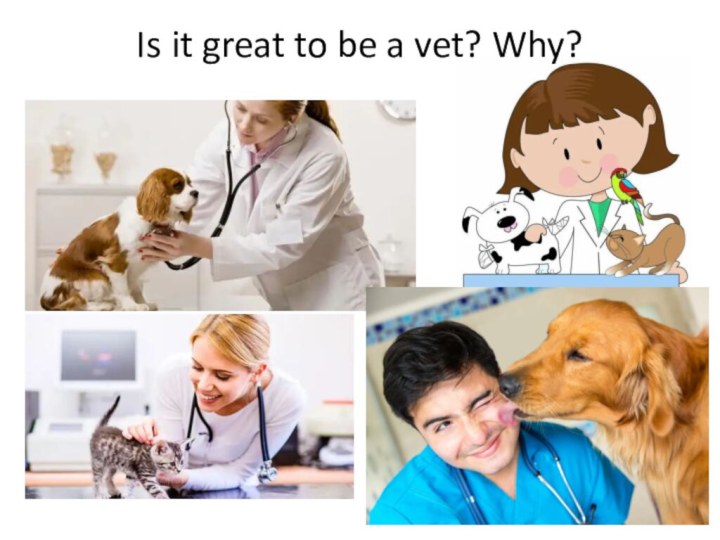 Is it great to be a vet? Why?
