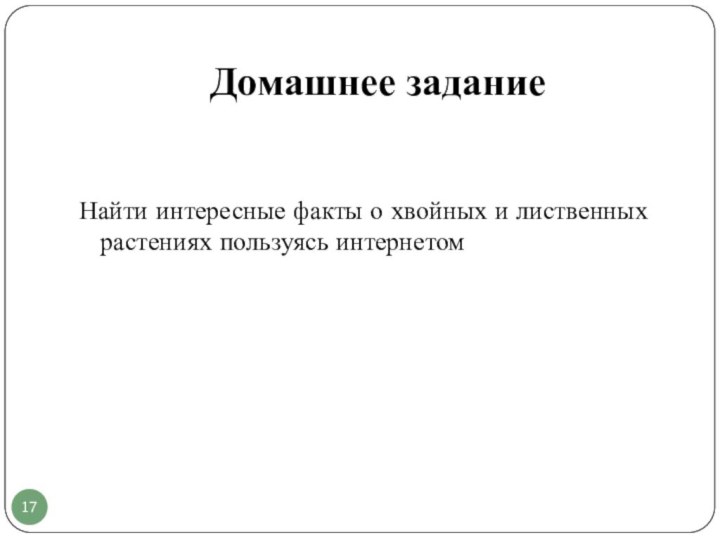 Домашнее заданиеНайти интересные факты о хвойных и лиственных растениях пользуясь интернетом