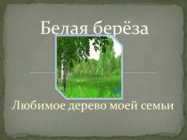 Творческая работа Белая берёза - любимое дерево моёй семьи