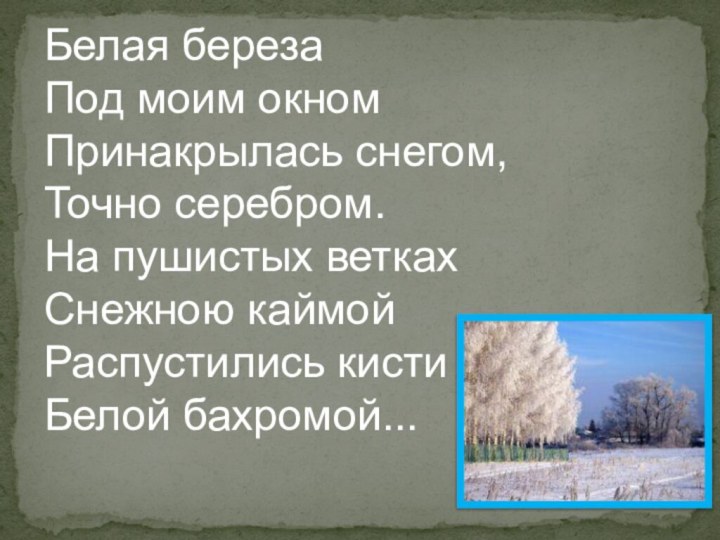 Белая береза  Под моим окном  Принакрылась снегом,  Точно серебром.