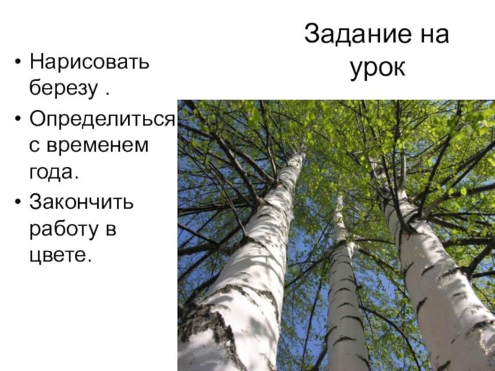 Задание на урокНарисовать березу .Определиться с временем года.Закончить работу в цвете.