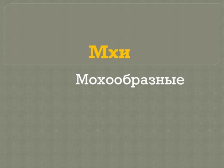 МхиМохообразные